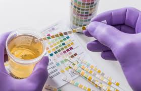 Lab testing